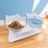 Elevated Orthopedic Cat Feeding Bowl