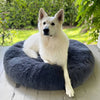 Relaxing Canine Bed
