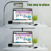Contemporary Sleek Desk Lamp