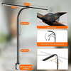 Contemporary Sleek Desk Lamp