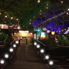 SunLuxe Solar Garden Lights - Set of 3 Waterproof LED Orbs