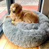 Relaxing Canine Bed